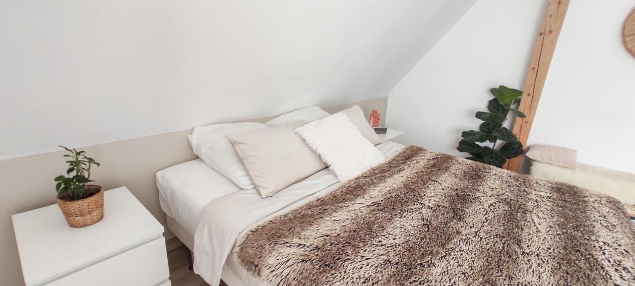Cocoon Bed And Breakfast Fegersheim Exterior photo